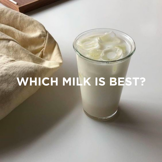 Which Milk Is Best? 🥛