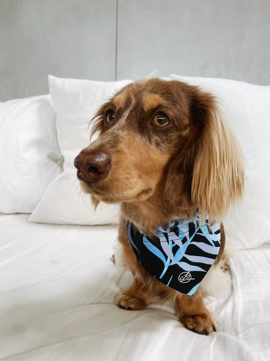 Close up shot of brown dog in Tropical Palm Doggy Bandana