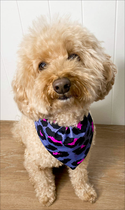 Puppy sitting in Pink Leopard doggy bandana