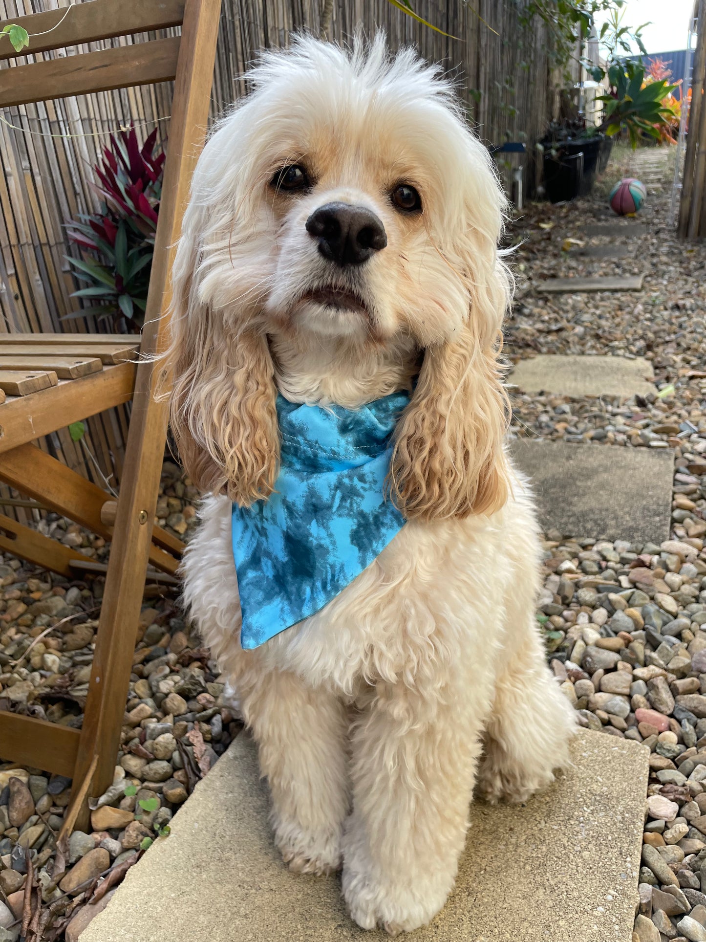 Dog wearing blue tie dye blue crush print doggy bandana