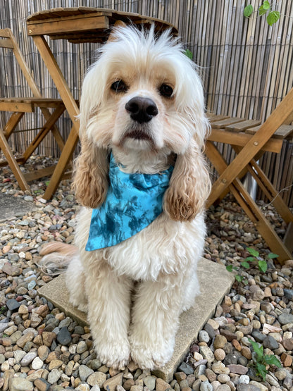 Dog wearing blue tie dye blue crush print doggy bandana